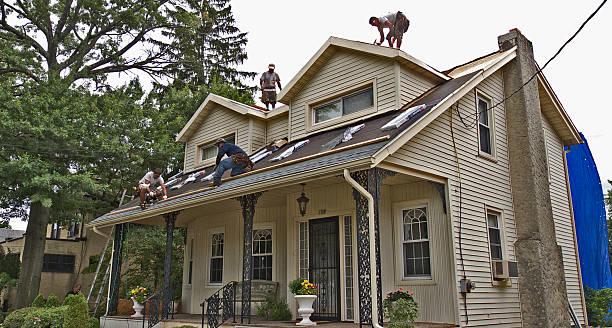 Best Roof Gutter Cleaning  in Farmerville, LA